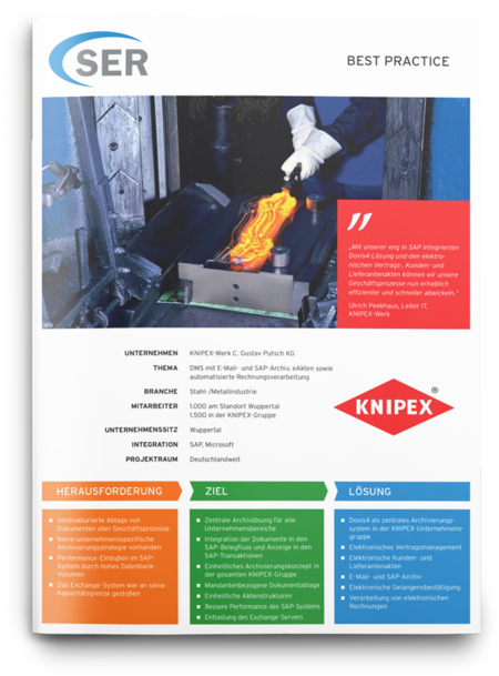 Knipex: Revisionssicheres Archiv für E-Mails & SAP-Belege
